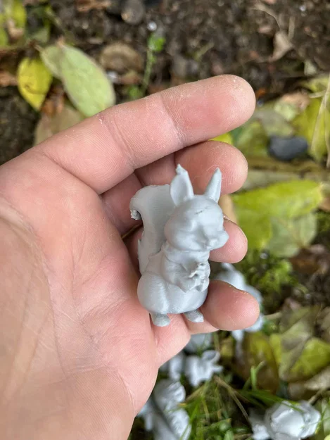 Sóc gỗ trong rừng (Wood squirrels) - Image 4