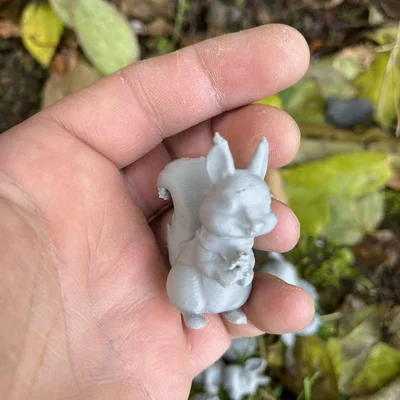 Sóc gỗ trong rừng (Wood squirrels)
