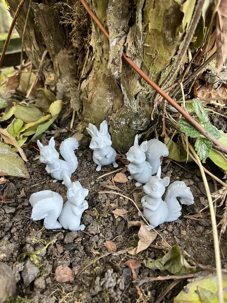 Sóc gỗ trong rừng (Wood squirrels) - Image 5