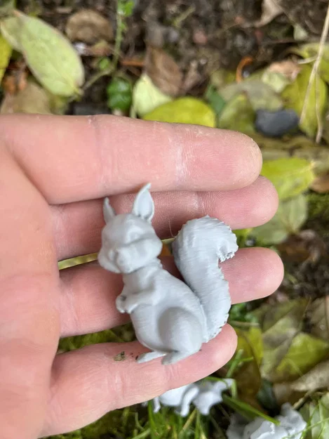 Sóc gỗ trong rừng (Wood squirrels) - Image 6