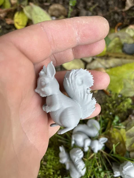 Sóc gỗ trong rừng (Wood squirrels) - Image 7