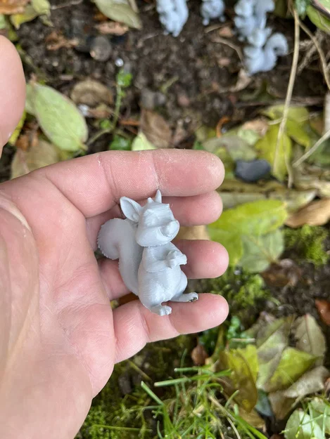 Sóc gỗ trong rừng (Wood squirrels) - Image 8