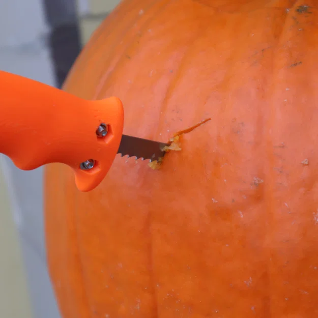 Tay Cầm Cưa Khắc Bí Ngô (Pumpkin Carving Saw Handle) - Image 3