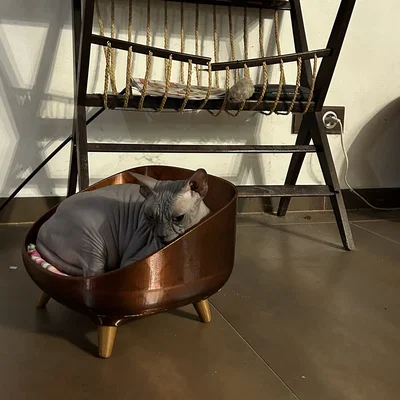 Giường nằm cho mèo xinh xắn - Mẫu 3D in ấn hiện đại