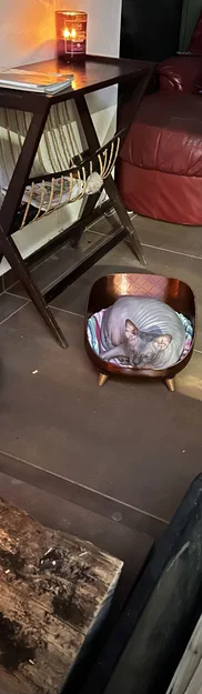 Giường nằm cho mèo xinh xắn - Mẫu 3D in ấn hiện đại - Image 4