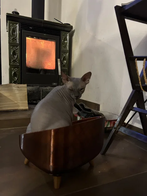 Giường nằm cho mèo xinh xắn - Mẫu 3D in ấn hiện đại - Image 6