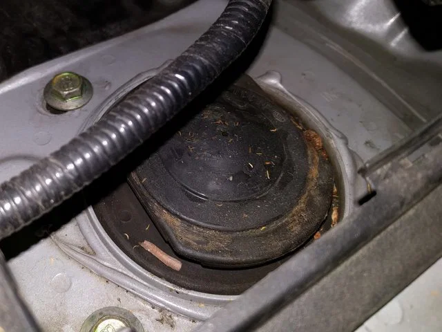 Nắp chụp Strut Nissan Leaf (Nissan Leaf Strut Cap) - Image 5