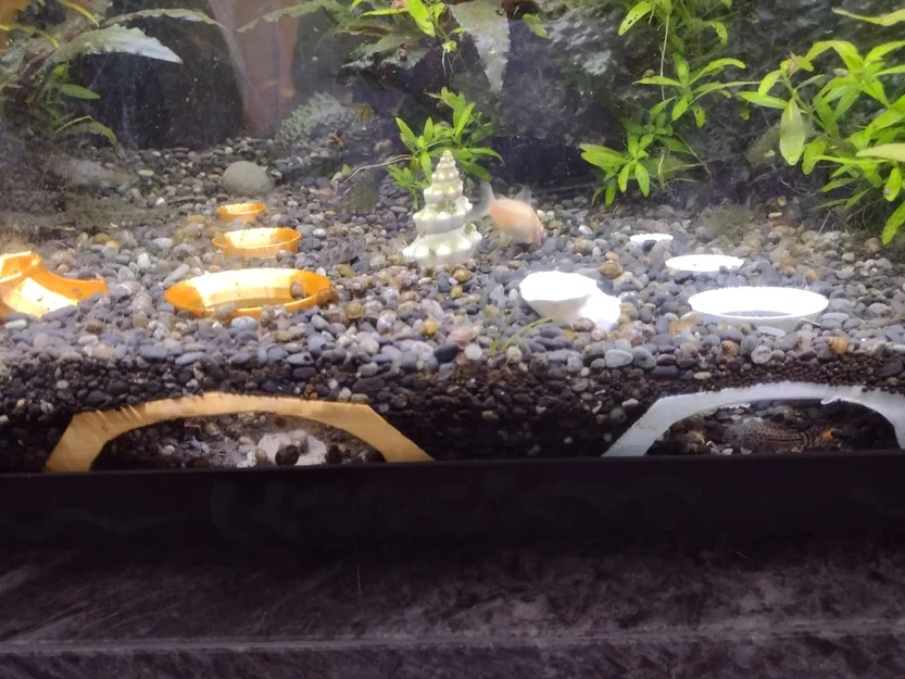 Shrimp Pantheon – Đền Pantheon cho hồ tép/cá - Image 1