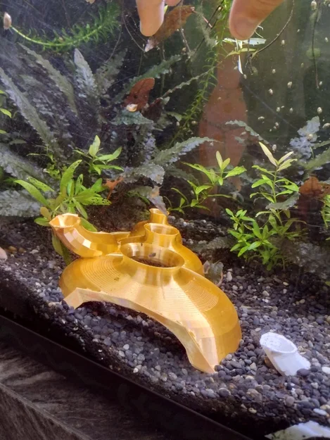 Shrimp Pantheon – Đền Pantheon cho hồ tép/cá - Image 5