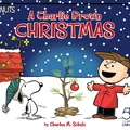 Khuôn cắt bánh quy Charlie Brown - Thumbnail 8