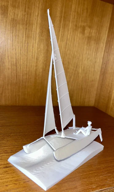 Mô hình thuyền buồm Prindle 16 Catamaran in 3D chi tiết - Image 1