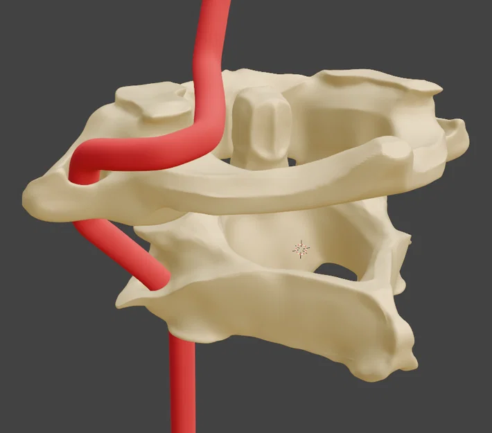Đốt sống cổ Atlas & Axis (C1 và C2) - Image 1