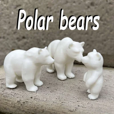 Gia đình Gấu Bắc Cực (Polar bears family)