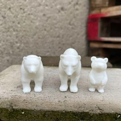 Gia đình Gấu Bắc Cực (Polar bears family)