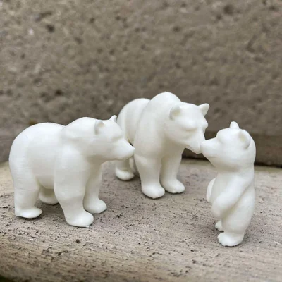 Gia đình Gấu Bắc Cực (Polar bears family)