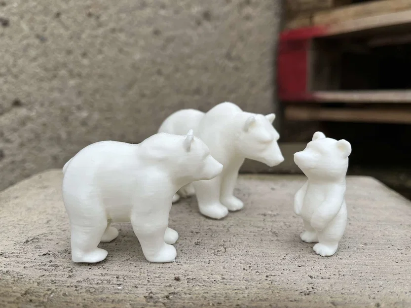 Gia đình Gấu Bắc Cực (Polar bears family) - Image 4