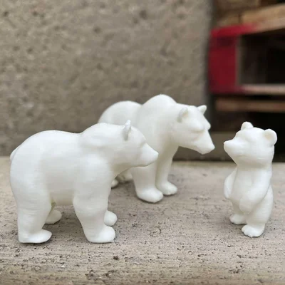 Gia đình Gấu Bắc Cực (Polar bears family)