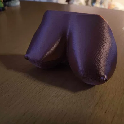 Còi hình "núi đôi" (Titty Whistle)