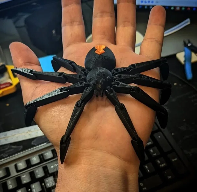 Nhện Redback Khớp Nối (Articulated Redback Spider) - Image 2