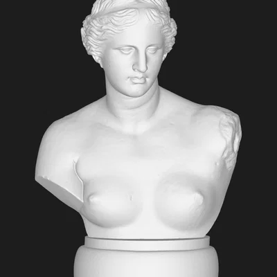 Mô hình in 3D tượng bán thân Venus de Milo - Trang trí cổ điển