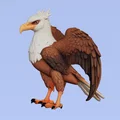 Mô hình đại bàng 3D trang trí (Eagle - Aguila) sắc nét - Thumbnail 1