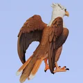 Mô hình đại bàng 3D trang trí (Eagle - Aguila) sắc nét - Thumbnail 4