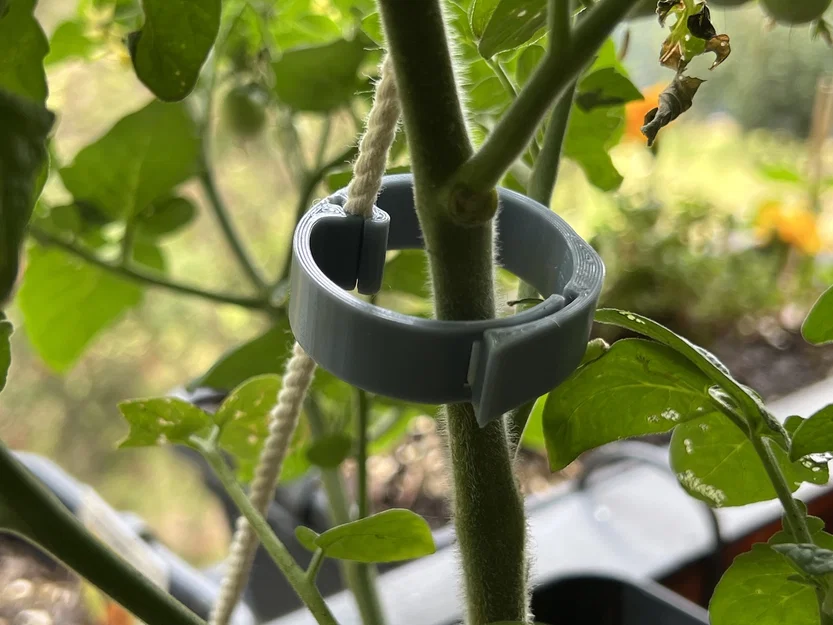 Kẹp Dây Giàn Cà Chua (Trellis String Clip) 35mm - Image 1