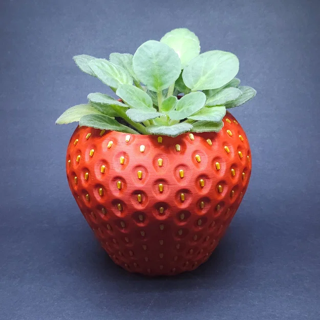 Chậu Dâu Tây (MMU/AMS) - Strawberry Planter - Image 1