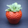 Chậu Dâu Tây (MMU/AMS) - Strawberry Planter - Thumbnail 1