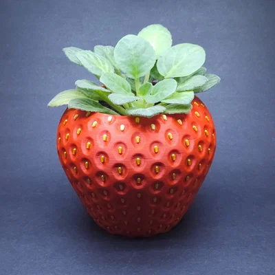 Chậu Dâu Tây (MMU/AMS) - Strawberry Planter