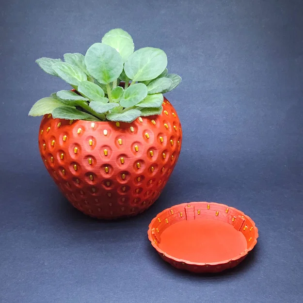 Chậu Dâu Tây (MMU/AMS) - Strawberry Planter - Image 2