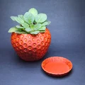 Chậu Dâu Tây (MMU/AMS) - Strawberry Planter - Thumbnail 2