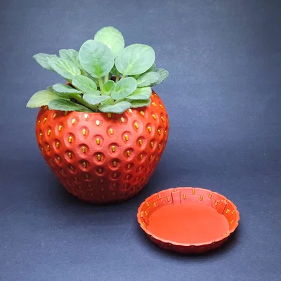 Chậu Dâu Tây (MMU/AMS) - Strawberry Planter