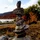 natflocor_1710045