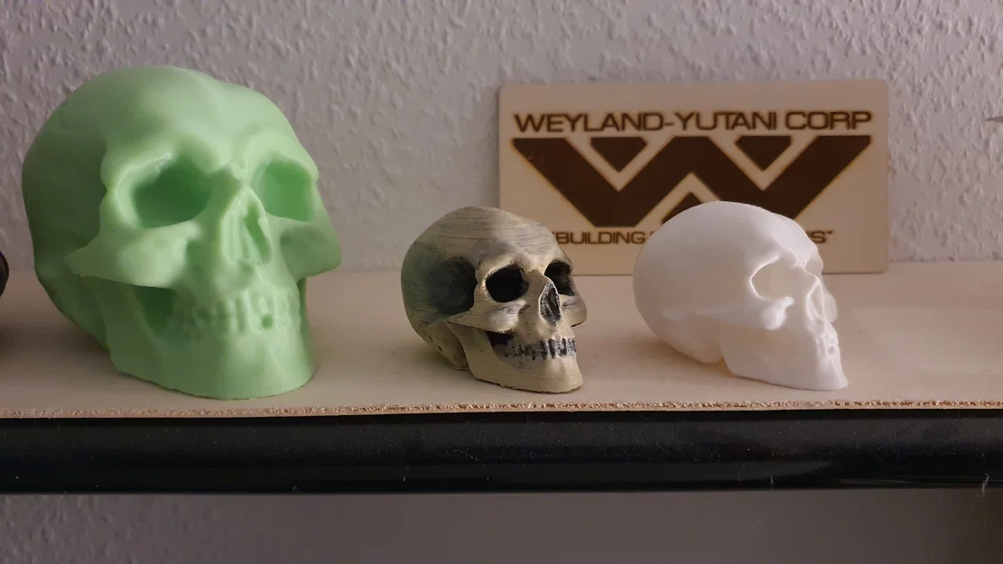 Mô hình hộp sọ người 3D (Skull 3D Scan) - File in 3D chi tiết cao - Image 1