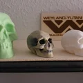 Mô hình hộp sọ người 3D (Skull 3D Scan) - File in 3D chi tiết cao - Thumbnail 1