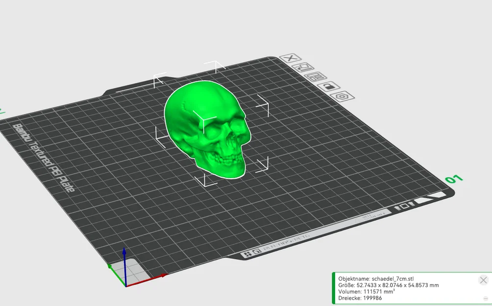 Mô hình hộp sọ người 3D (Skull 3D Scan) - File in 3D chi tiết cao - Image 2
