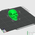 Mô hình hộp sọ người 3D (Skull 3D Scan) - File in 3D chi tiết cao - Thumbnail 2