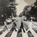 ABBEY ROAD - Bìa album The Beatles (Mô hình 2 màu) - Thumbnail 1