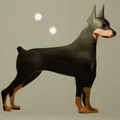 Chó Dobermann (A Dobermann Dog) - Thumbnail 2