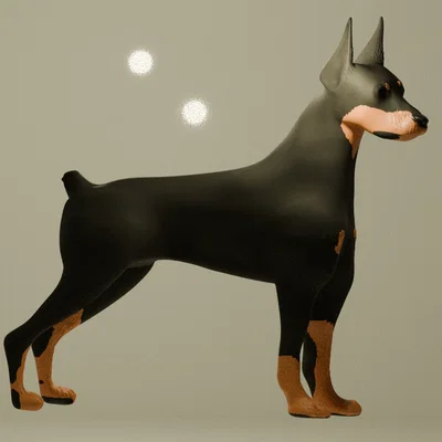 Chó Dobermann (A Dobermann Dog)
