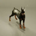 Chó Dobermann (A Dobermann Dog) - Thumbnail 4