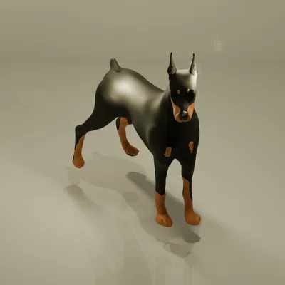 Chó Dobermann (A Dobermann Dog)
