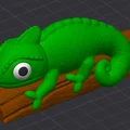 Chameleon Emil - Thumbnail 5