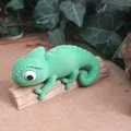 Chameleon Emil (đa màu theo từng phần) - Thumbnail 1