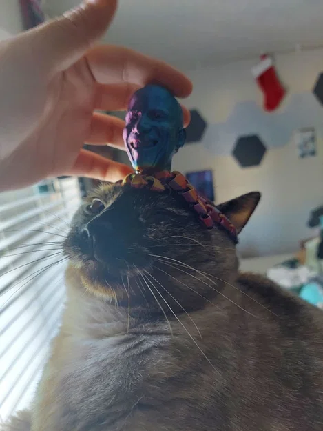 The Baracktopus - Image 1