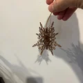 Bông tuyết dương vật 3D (3D Penis Snowflake) bản có rãnh - Thumbnail 1