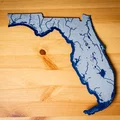 Bản đồ địa hình Florida, USA (FL) kèm thủy hệ - Thumbnail 11