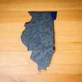 Bản đồ địa hình Illinois, USA (IL) có sông ngòi - Thumbnail 6