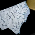 Bản đồ địa hình North Carolina, USA (NC) kèm sông ngòi - Thumbnail 8